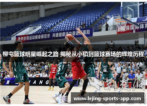 柳屯篮球明星崛起之路 揭秘从小镇到篮球赛场的辉煌历程